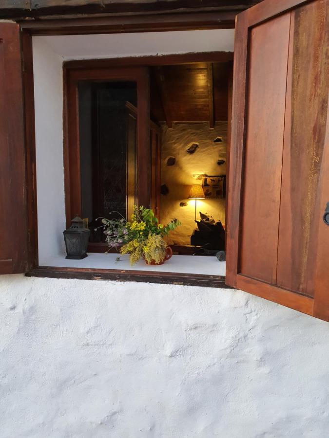 Vina Camello Villa Buenavista Del Norte Luaran gambar